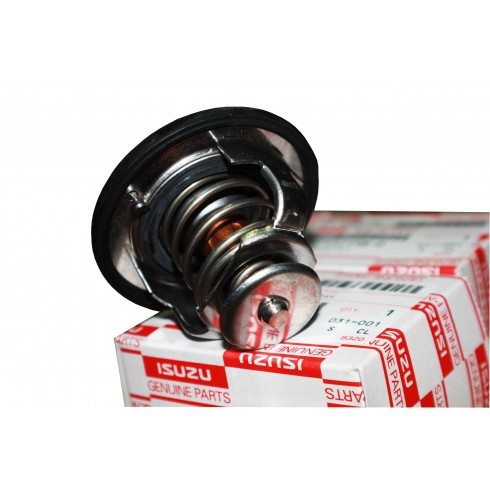 THERMOSTAT